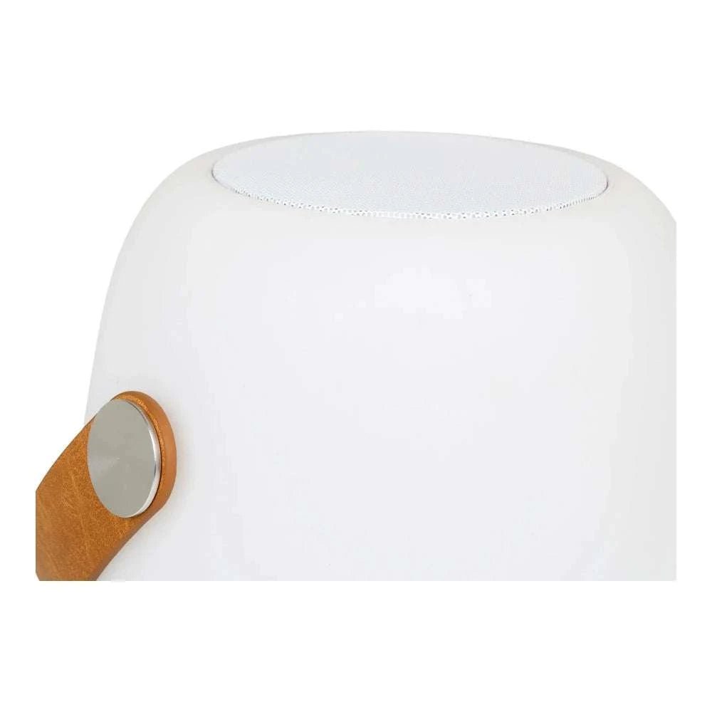 LED lampe til haven